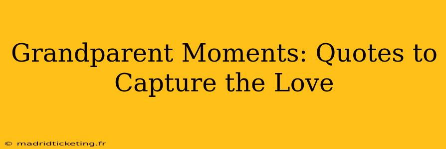 Grandparent Moments: Quotes to Capture the Love
