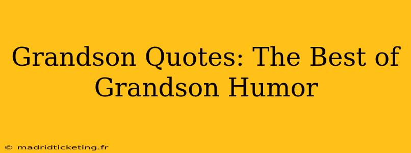Grandson Quotes: The Best of Grandson Humor