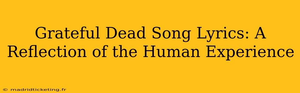 Grateful Dead Song Lyrics: A Reflection of the Human Experience