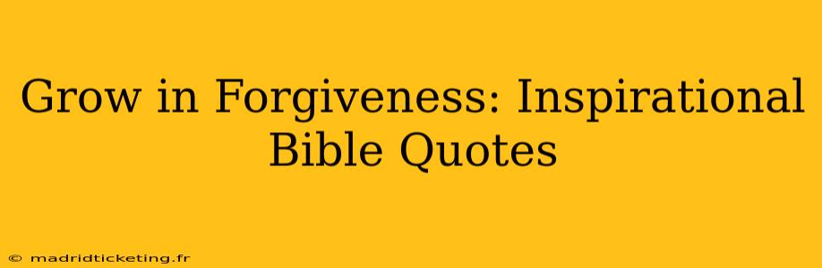 Grow in Forgiveness: Inspirational Bible Quotes