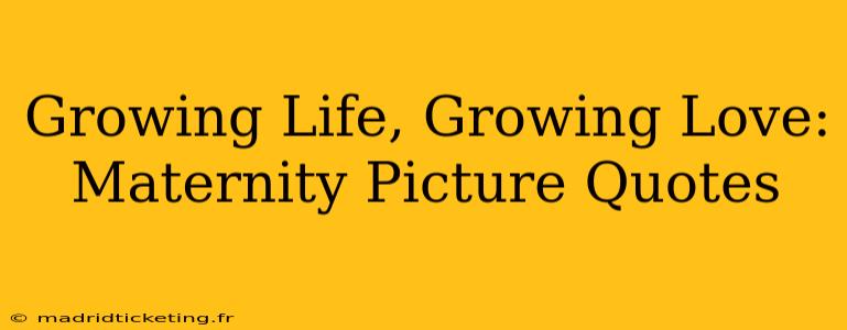 Growing Life, Growing Love: Maternity Picture Quotes