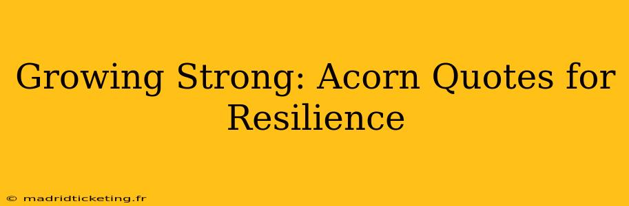 Growing Strong: Acorn Quotes for Resilience