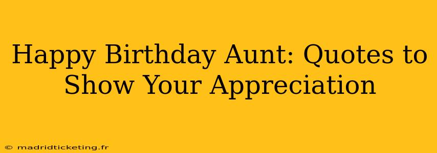 Happy Birthday Aunt: Quotes to Show Your Appreciation