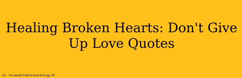 Healing Broken Hearts: Don't Give Up Love Quotes