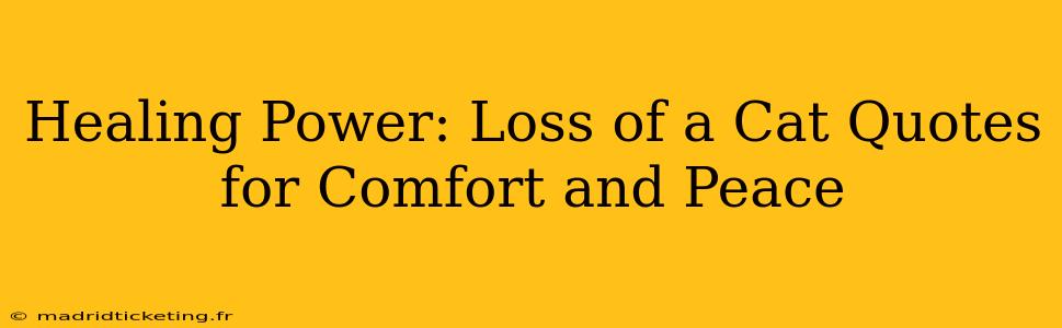 Healing Power: Loss of a Cat Quotes for Comfort and Peace