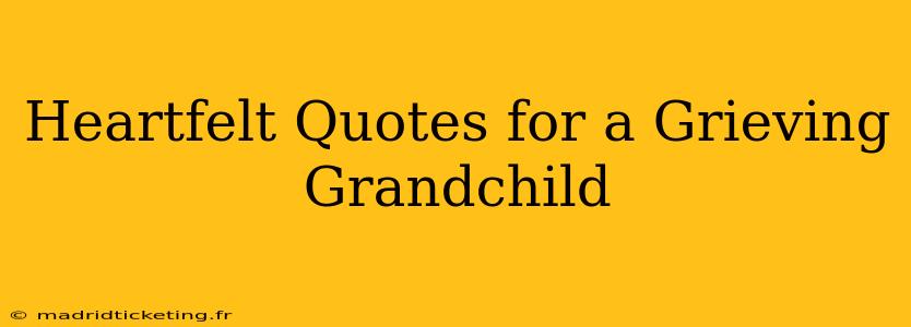Heartfelt Quotes for a Grieving Grandchild