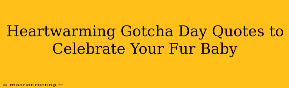 Heartwarming Gotcha Day Quotes to Celebrate Your Fur Baby