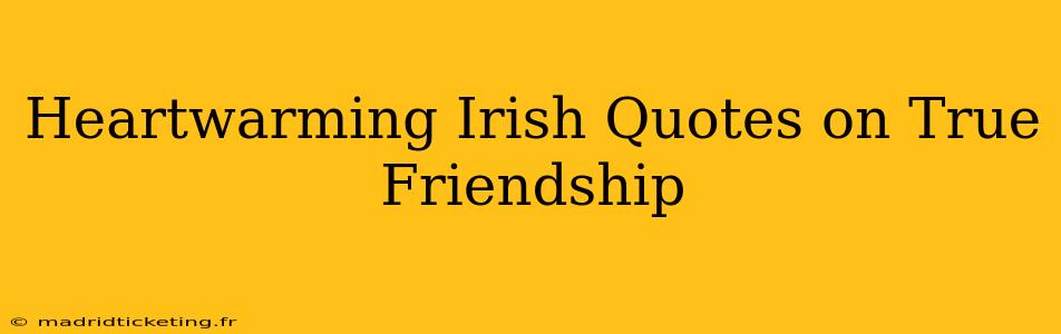 Heartwarming Irish Quotes on True Friendship