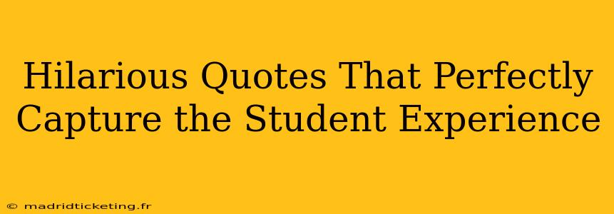 Hilarious Quotes That Perfectly Capture the Student Experience