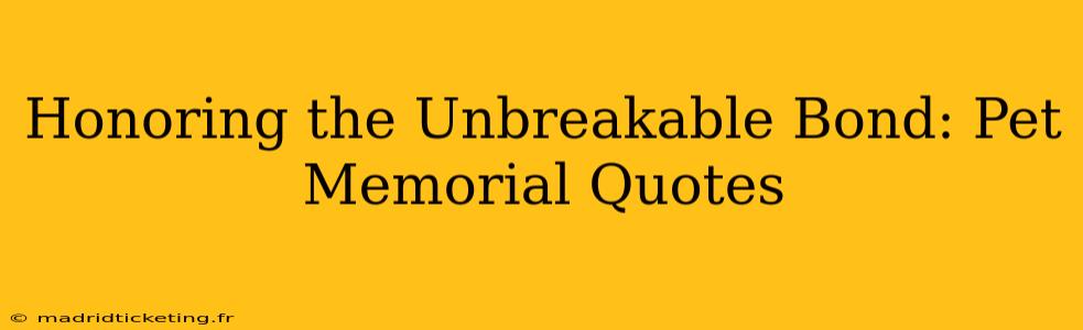 Honoring the Unbreakable Bond: Pet Memorial Quotes