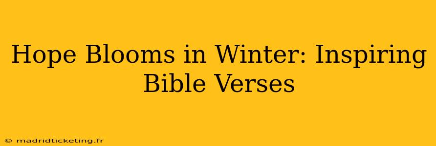 Hope Blooms in Winter: Inspiring Bible Verses