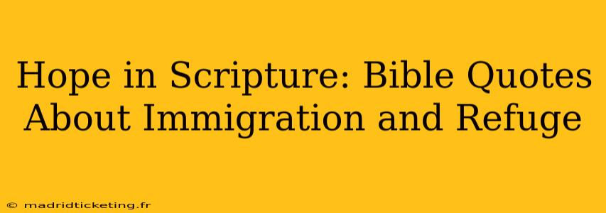 Hope in Scripture: Bible Quotes About Immigration and Refuge