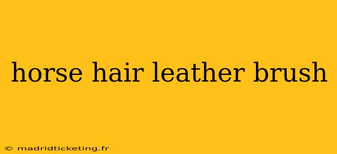 horse hair leather brush