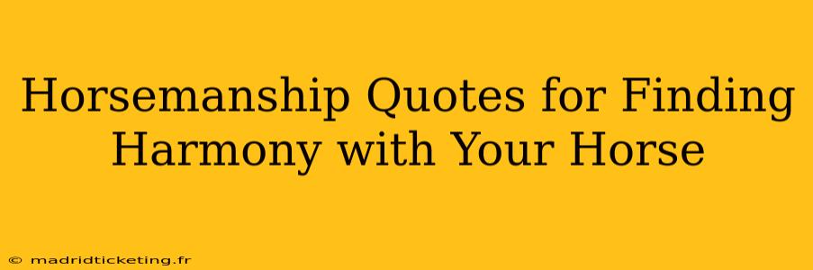 Horsemanship Quotes for Finding Harmony with Your Horse