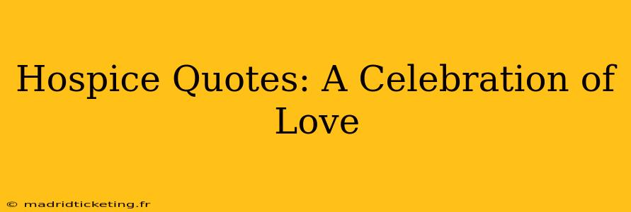 Hospice Quotes: A Celebration of Love