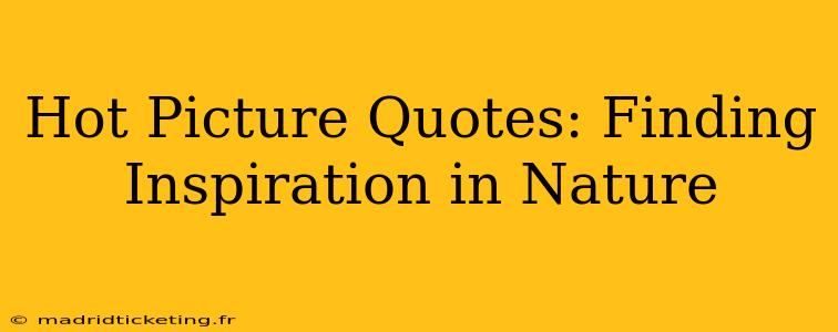 Hot Picture Quotes: Finding Inspiration in Nature