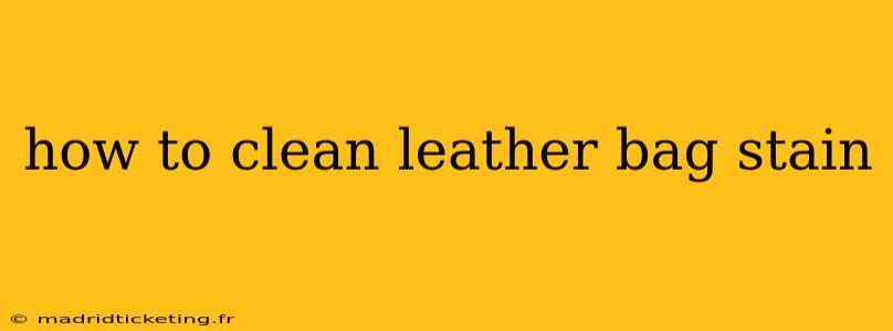 how to clean leather bag stain