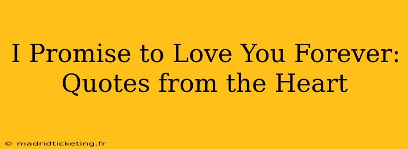 I Promise to Love You Forever: Quotes from the Heart