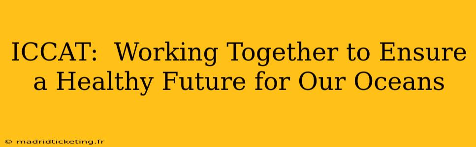 ICCAT:  Working Together to Ensure a Healthy Future for Our Oceans