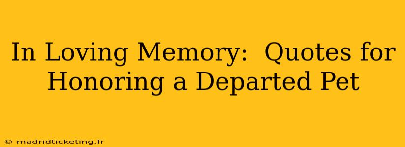 In Loving Memory:  Quotes for Honoring a Departed Pet