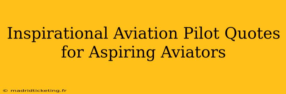 Inspirational Aviation Pilot Quotes for Aspiring Aviators