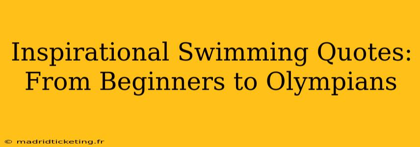 Inspirational Swimming Quotes: From Beginners to Olympians