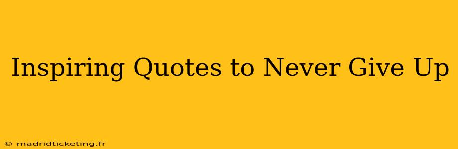 Inspiring Quotes to Never Give Up