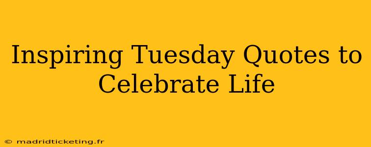 Inspiring Tuesday Quotes to Celebrate Life