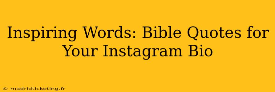 Inspiring Words: Bible Quotes for Your Instagram Bio