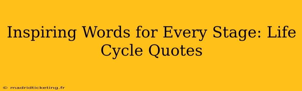 Inspiring Words for Every Stage: Life Cycle Quotes