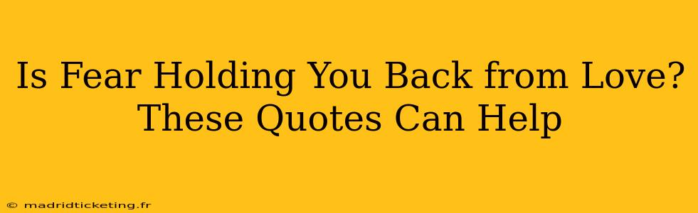 Is Fear Holding You Back from Love? These Quotes Can Help