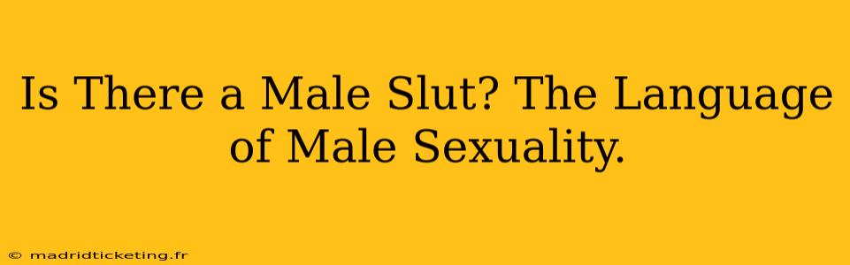 Is There a Male Slut? The Language of Male Sexuality.