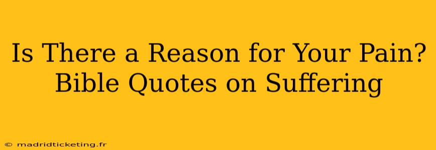 Is There a Reason for Your Pain? Bible Quotes on Suffering