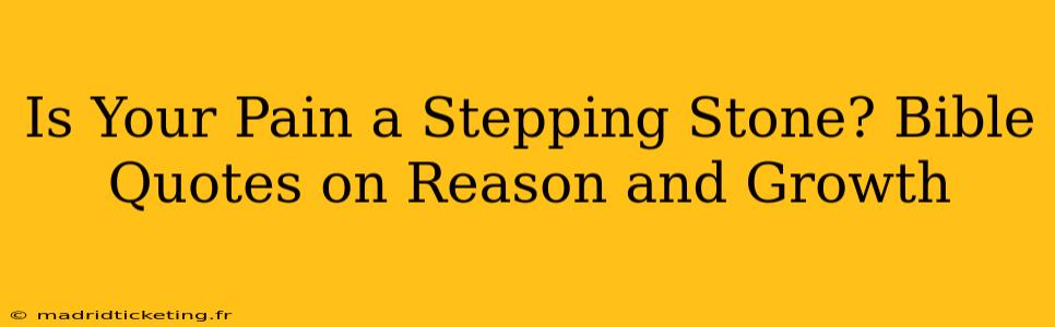 Is Your Pain a Stepping Stone? Bible Quotes on Reason and Growth