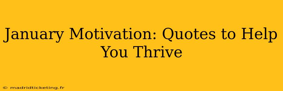 January Motivation: Quotes to Help You Thrive