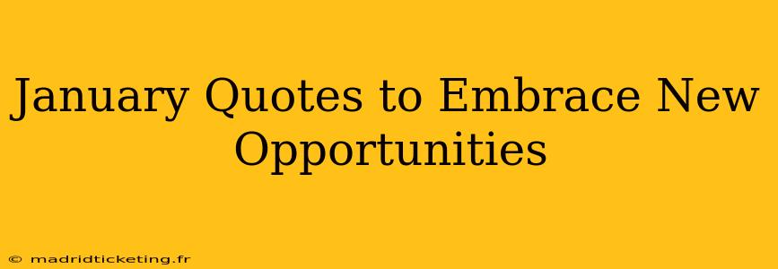 January Quotes to Embrace New Opportunities