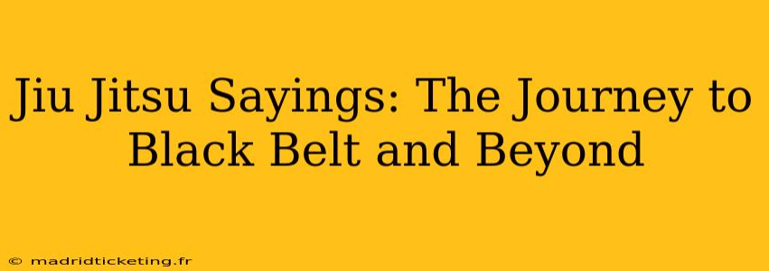 Jiu Jitsu Sayings: The Journey to Black Belt and Beyond