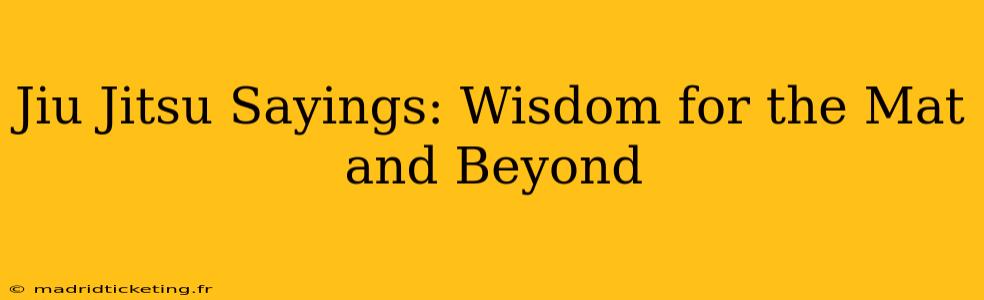 Jiu Jitsu Sayings: Wisdom for the Mat and Beyond