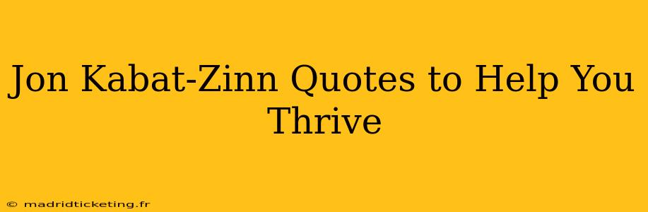Jon Kabat-Zinn Quotes to Help You Thrive