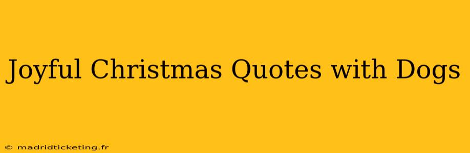 Joyful Christmas Quotes with Dogs
