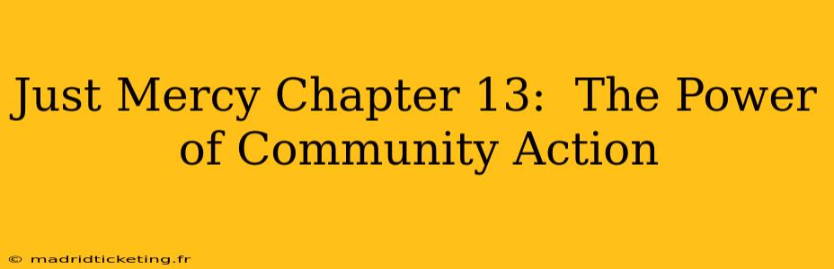 Just Mercy Chapter 13:  The Power of Community Action