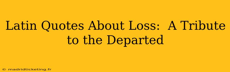 Latin Quotes About Loss:  A Tribute to the Departed