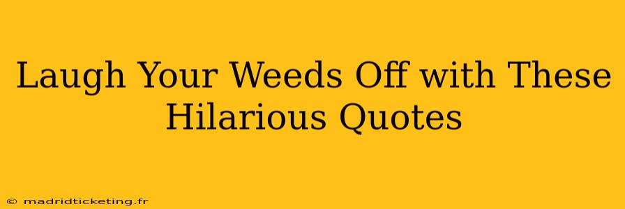 Laugh Your Weeds Off with These Hilarious Quotes