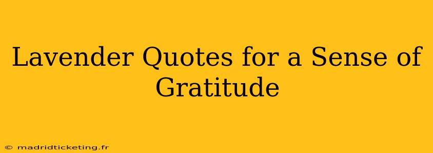 Lavender Quotes for a Sense of Gratitude