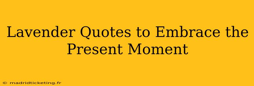 Lavender Quotes to Embrace the Present Moment