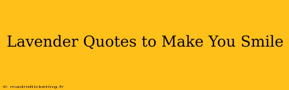 Lavender Quotes to Make You Smile