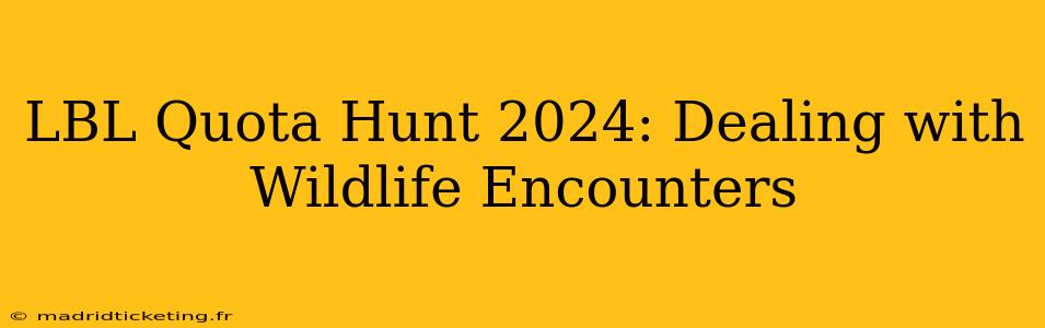 LBL Quota Hunt 2024: Dealing with Wildlife Encounters