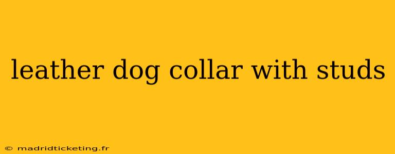 leather dog collar with studs