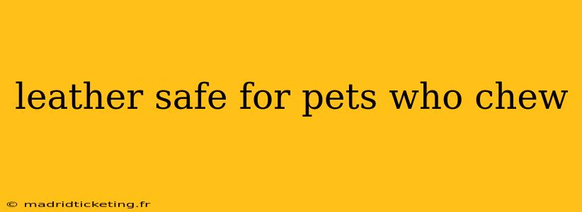 leather safe for pets who chew