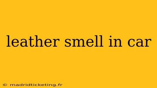 leather smell in car